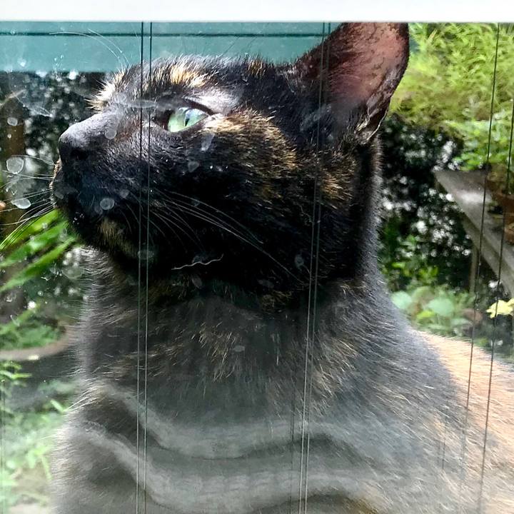 85a85326 bdb9 4bc6 92bc e52d51314224 1536410118960