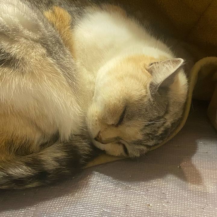 85a8fb18 f184 4556 a0fc f829c6af2830 1673955114495