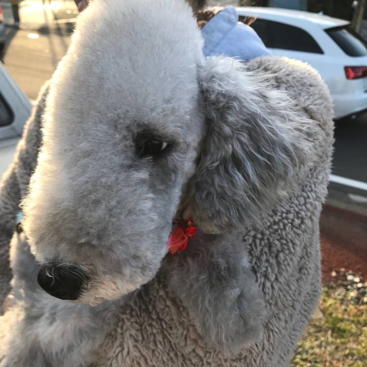 85a92937 72ff 48aa 827e 0455edae6cfe 1601979625486