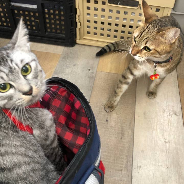 85a92ed2 a660 4641 aee6 66a8a0b1bb51 1667705160479