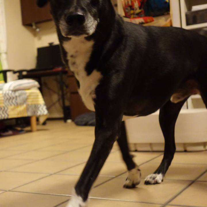 85a93a66 62fa 493f 9c8d b7adfd3dd4fe 1730457885554