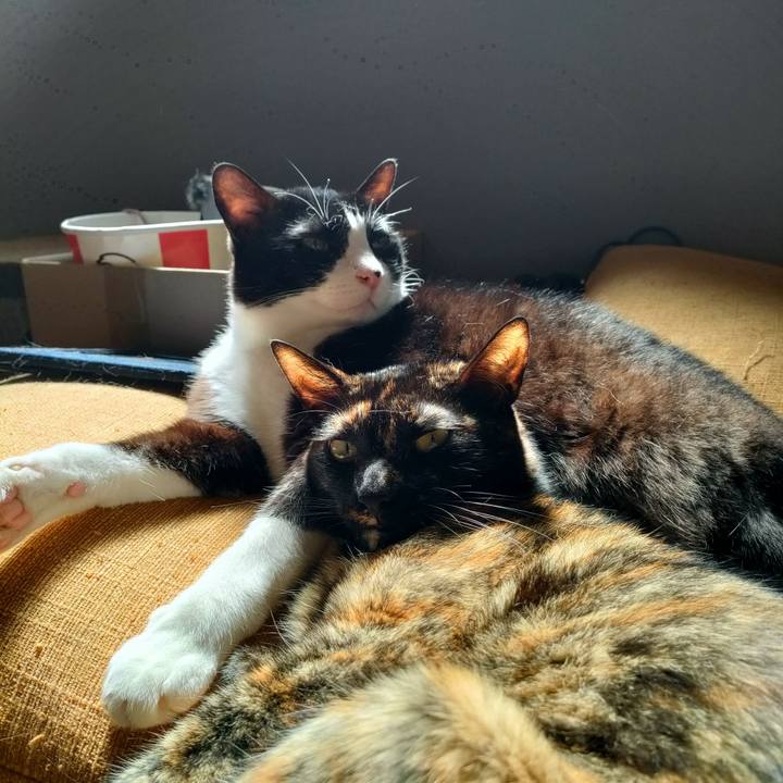 85a9449a 7002 4eb0 b37a 380bffeb791a 1759206407099