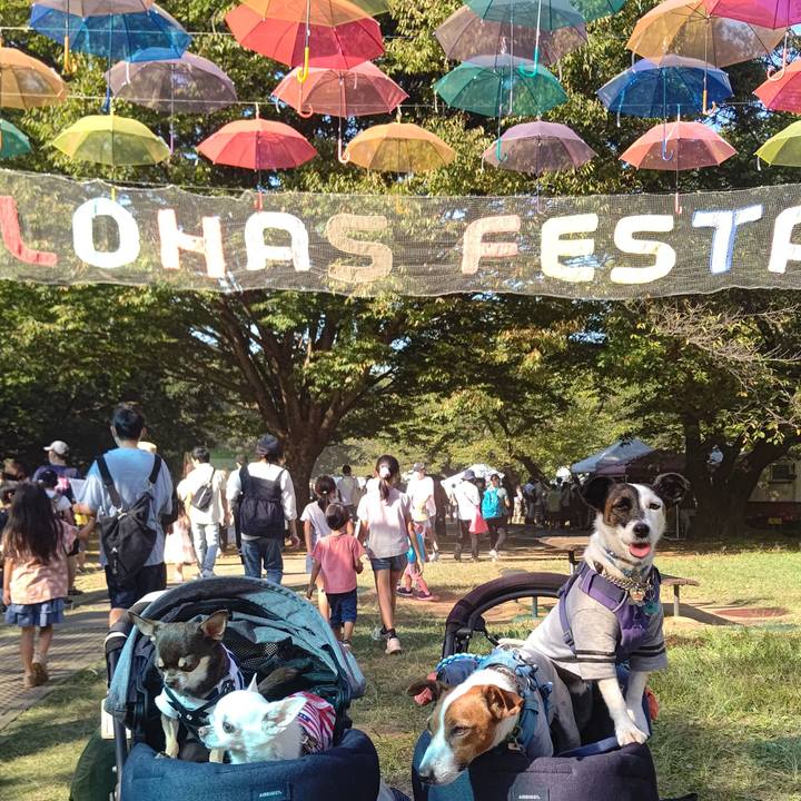 85a94f4a 09ec 46a0 b445 953419c4f9cc 1664702992744