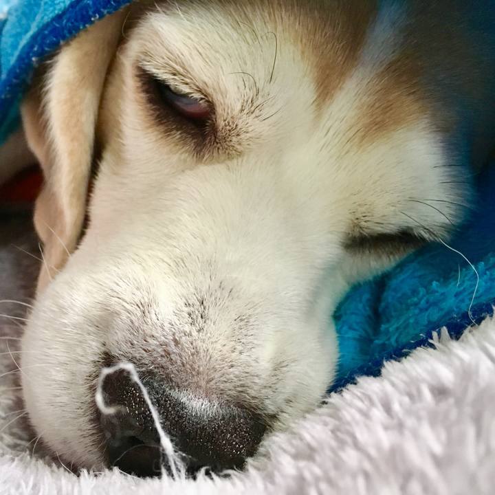 85a95ed2 6c35 4bc1 aa1e cd71a216c01f 1746529950684