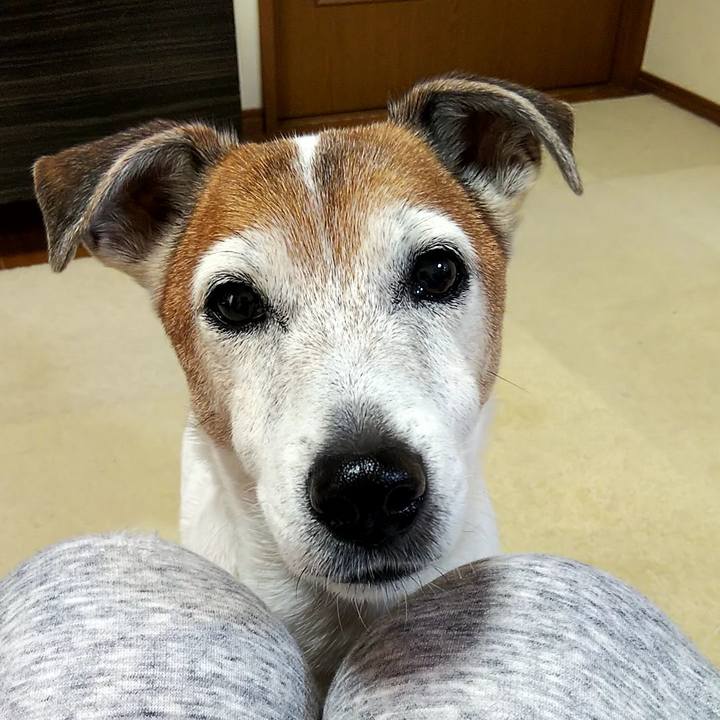 85a96cbf 6dac 4718 bdbb 74ef7c326f16 1546689693431