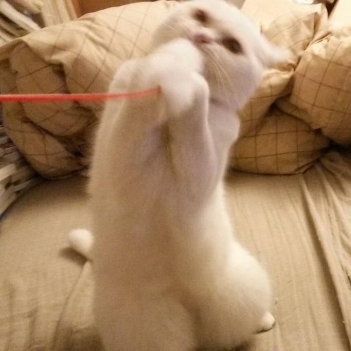 85a96d6a 7bdf 4277 b5d4 45a6ca57e258 1510613862718