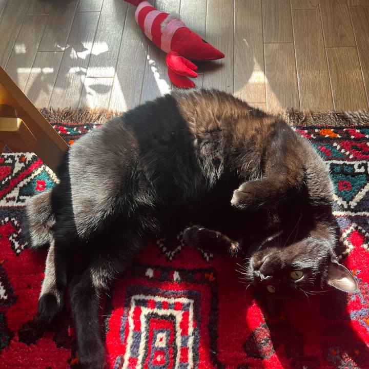 85a98b62 0cb2 4694 b62d 277b454e50d2 1738402137348