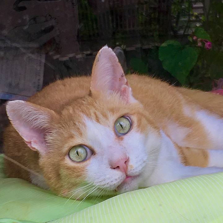 85a990e3 1525 4514 ab77 d8e05320a6a4 1597267216945