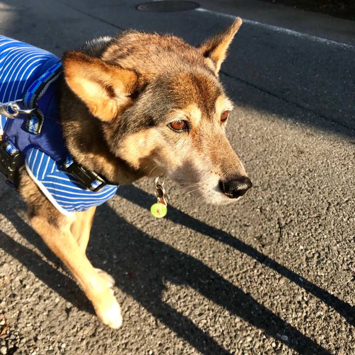 85a9d462 1666 4ec6 8444 609e6c8b6aa8 1512344823739