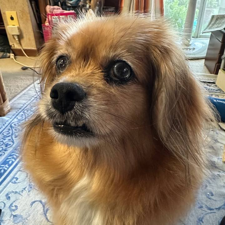 85a9f47c b310 4137 b802 134936213dd9 1752439680865