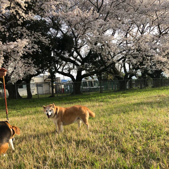 85aa0353 0fdf 48c3 a2b8 310a1a162d92 1617007912165