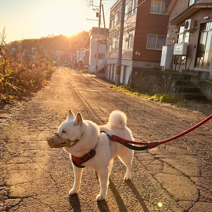 85aa16e2 0659 427b 85fc 2ffd012eff23 1763245900487