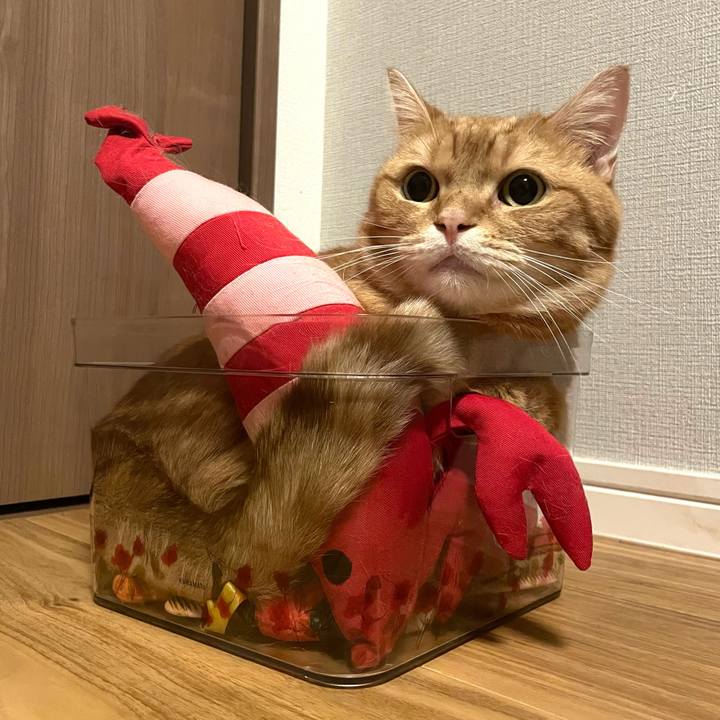 85aa2351 d857 4b4f 87d1 2044ff84df7c 1759319354368