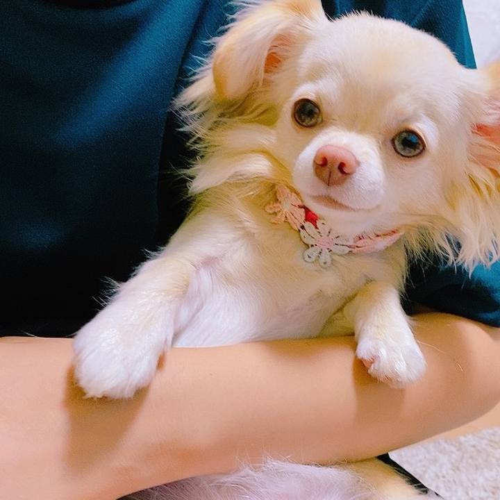 85aa275f 60e5 41b7 8e10 58daa67d38c5 1625137721039