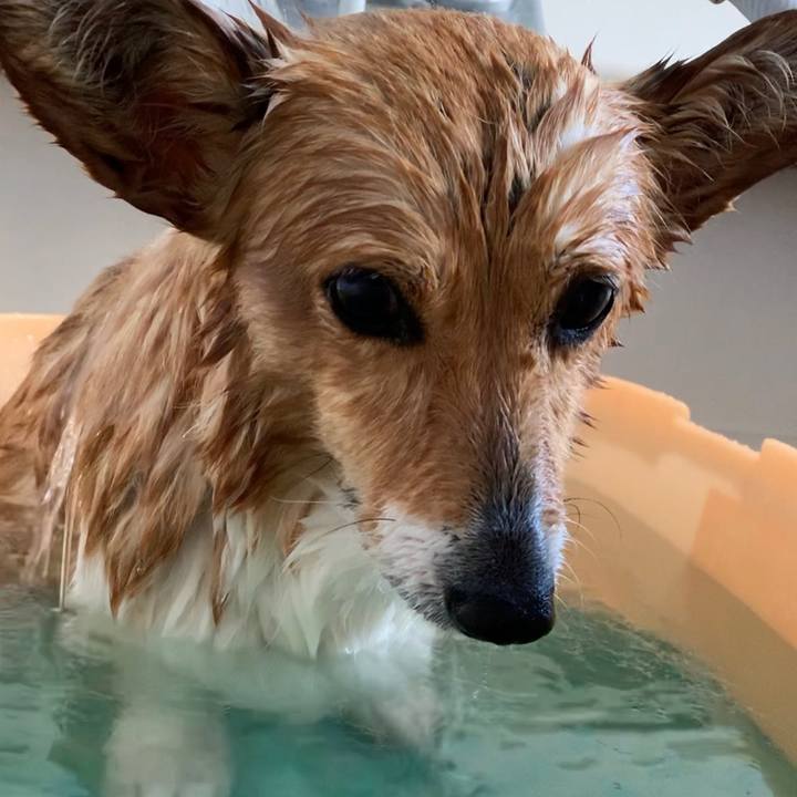 85aa3aaf 642c 499a 9ff6 4d52d2fdebbe 1648880125099