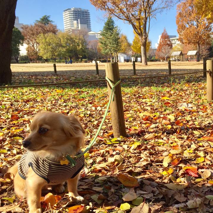 85aaa635 06c8 4e9e afdf d4d67203c66a 1576285706026