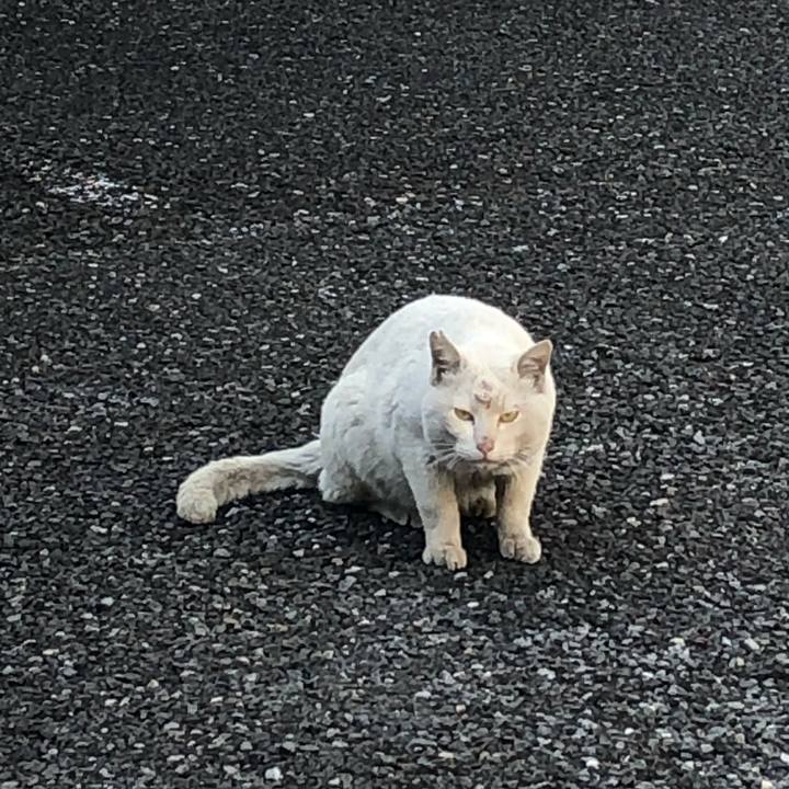 85aabe4a ad34 4644 9566 f8d6059d70e4 1620575461288