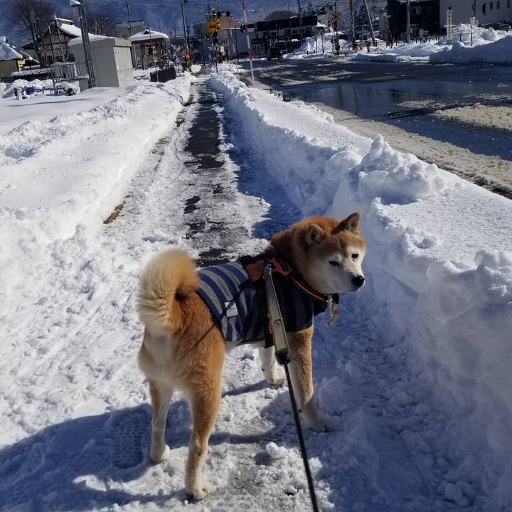 85aaeb5b 1bc3 48b3 af3b ea614db7a41c 1705201495208