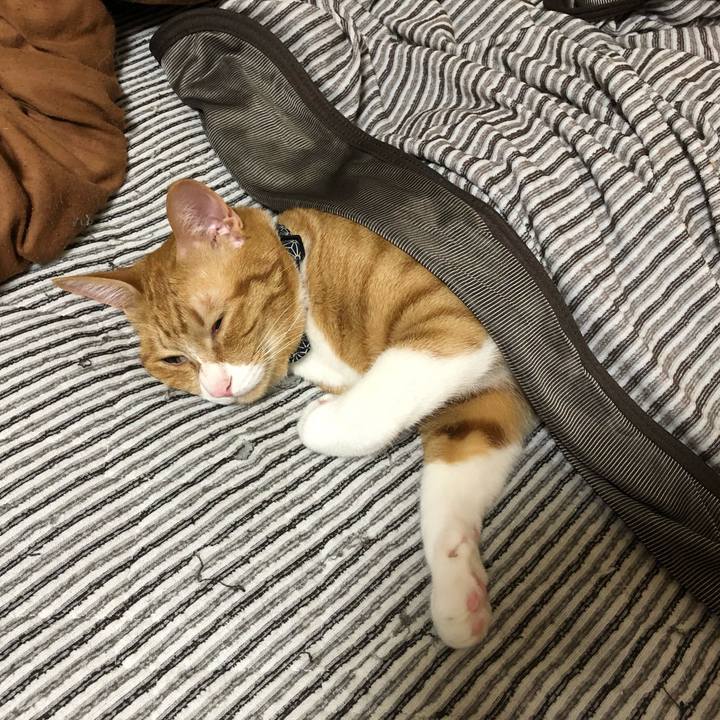 85aaf4fa c14e 4aa1 b2da a5c18a9f692c 1559366621001