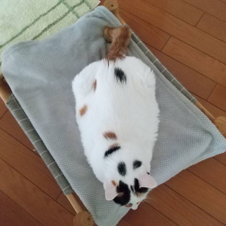 85ab2360 9095 4938 a163 c86e9ec5bbc0 1701559548626