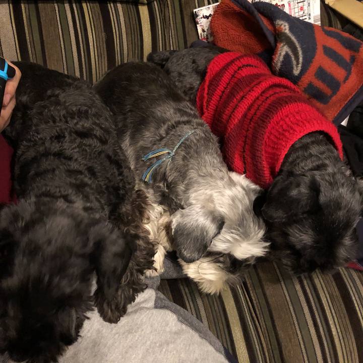 85ab4787 8857 4c29 b2be ec0e341545d4 1545487044928