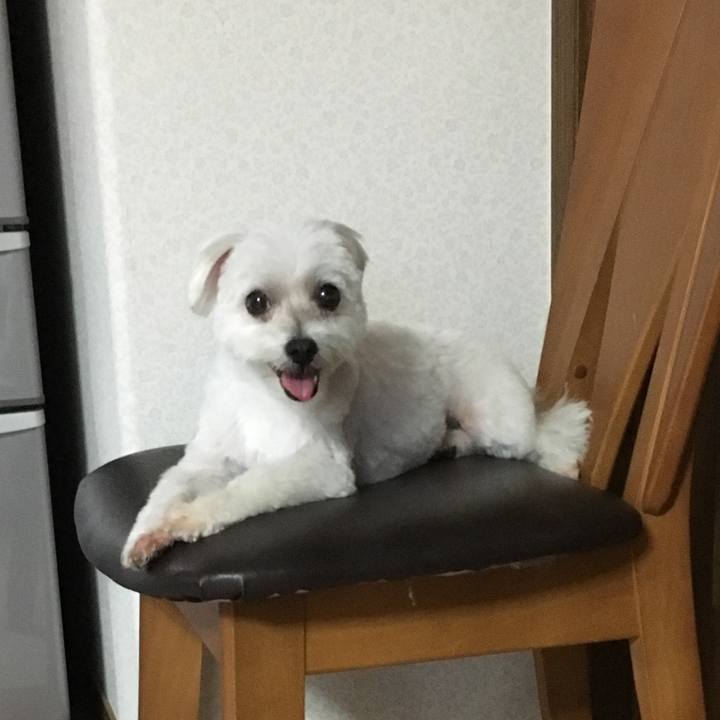 85ab4d7e 7e6c 4098 82cd a9b04ca7fdab 1564220623607