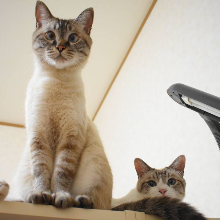 85ab721a ebc9 4d5e 8d37 1151ccd53191 1533812916987