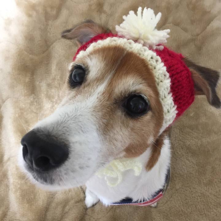 85ac83e4 022c 4c55 93ea f03dcb73cbfd 1510232973574