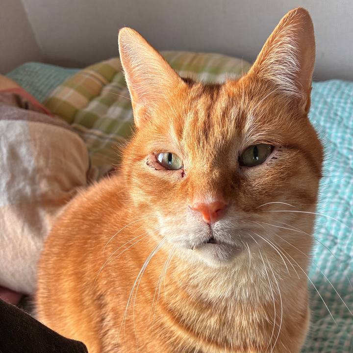 85ac988e 75de 4f6c b1b9 4c66fa6073d6 1746132353469