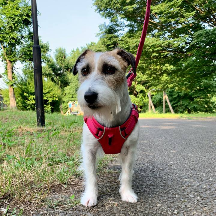 85acb1db d67b 48b3 89b3 a54ef1cccbaa 1655475657404