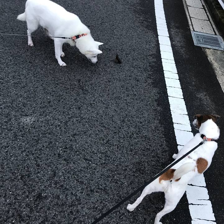 85acdfd9 1d32 4a93 8ae4 ebd768d493b4 1527679617817