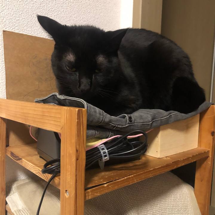 85ace72c d308 4d31 8aae 0509b0f84079 1609169937079