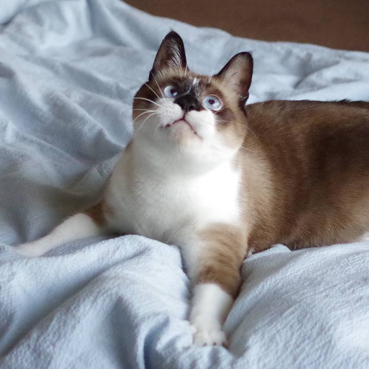 85ad1382 ba67 4859 99a7 ed6f5f6b9879 1546574771660