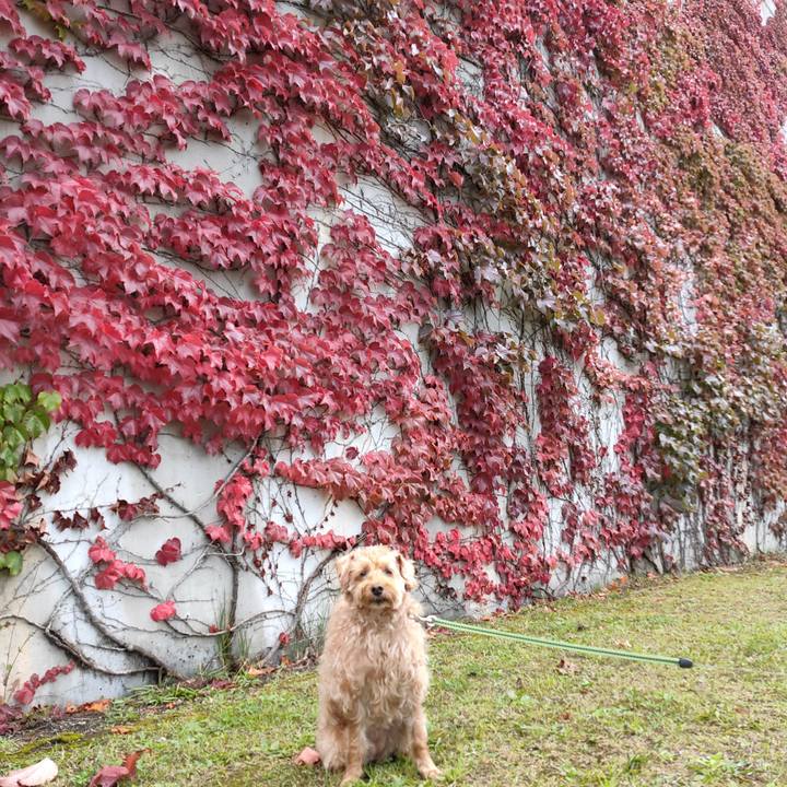 85ad39ec dad7 46dc 9464 62d2b58d6403 1601682212855