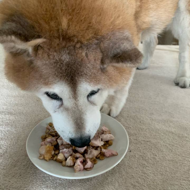 85ad403d 6634 4406 bb39 d77443c11b73 1620773851696