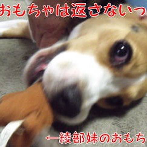 85ad4185 7bdd 4870 baad 8c80f6d2d61a 1690412298060