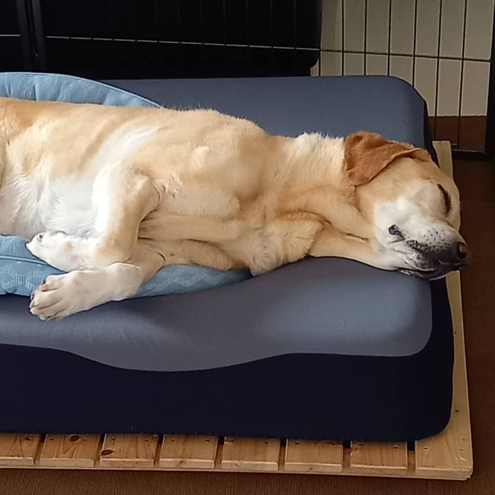 85ad4cda 8836 4b40 a0ef 7562972c3ef7 1667700538541