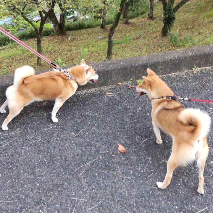 85ad570f d6c8 40b2 b4f0 c7635d5a2222 1663331953000