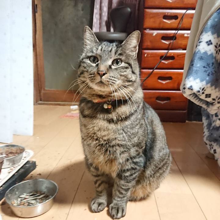 85ad6a3f b0f5 47b3 8c81 47dce7d8c015 1644093354670