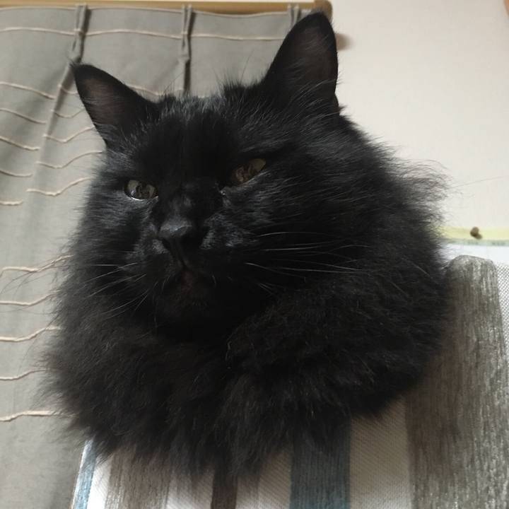 85addfda ea4a 4d6f b349 f106501b42dc 1574165226446