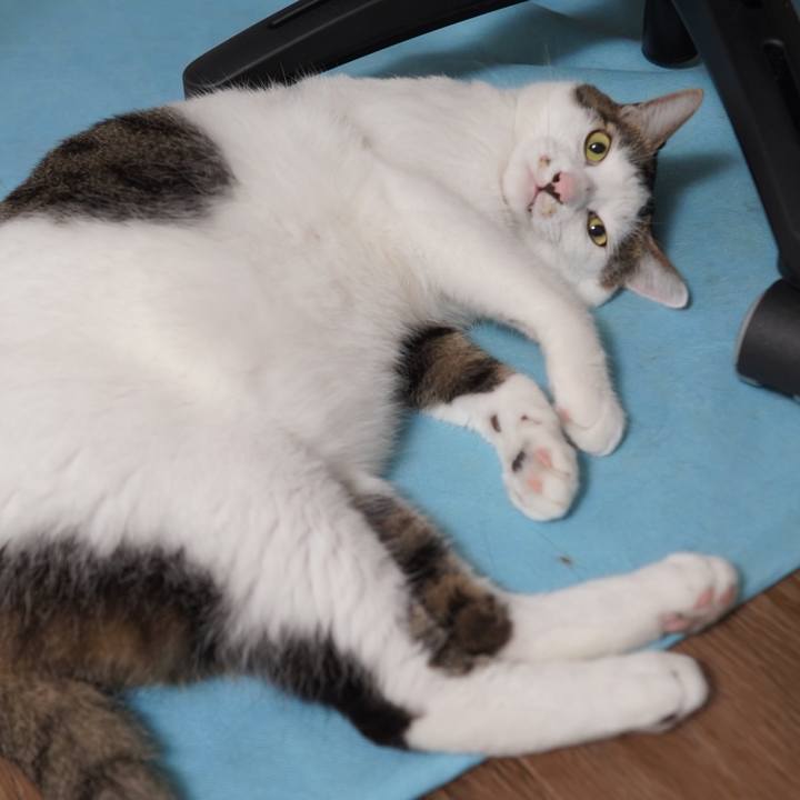 85ae3eb1 ab6a 44a5 8556 28c3f68b5936 1596809075818