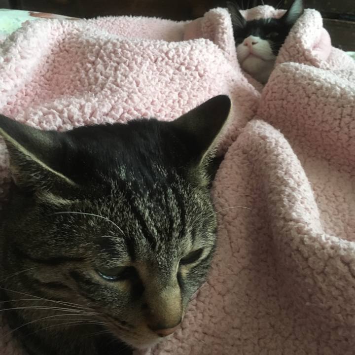 85ae3f7f c8b7 466c ba58 7e0d59becbf7 1519271297543