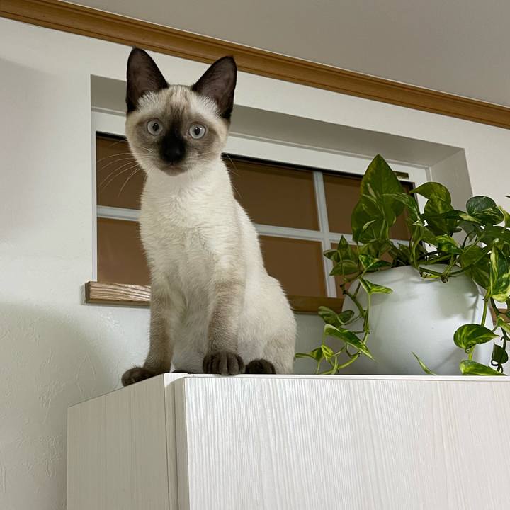 85ae9996 d26a 4005 8d3a bd32dec2f82b 1692733361141