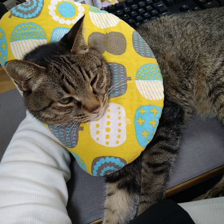 85aeb141 c553 43fa 965f 8f00541ea6d1 1735001159380