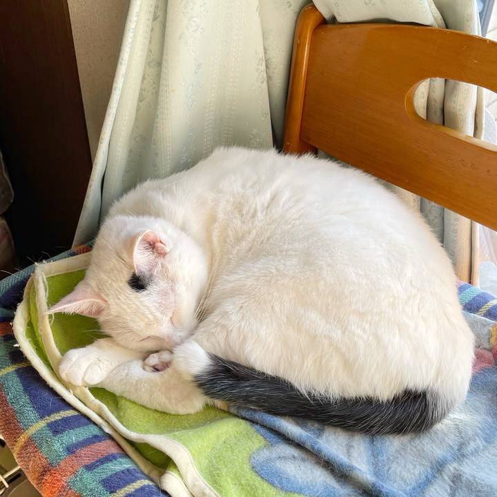 85aeb838 5979 4085 8a39 1c69a2e42139 1767230469018