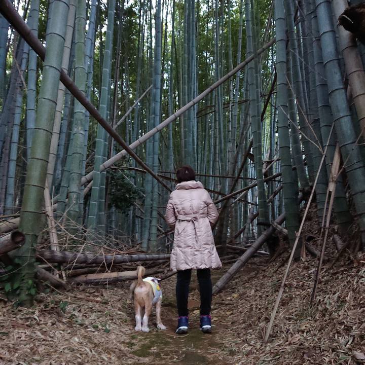 85aede79 498e 4c49 b280 ff74d1845c63 1609504633381