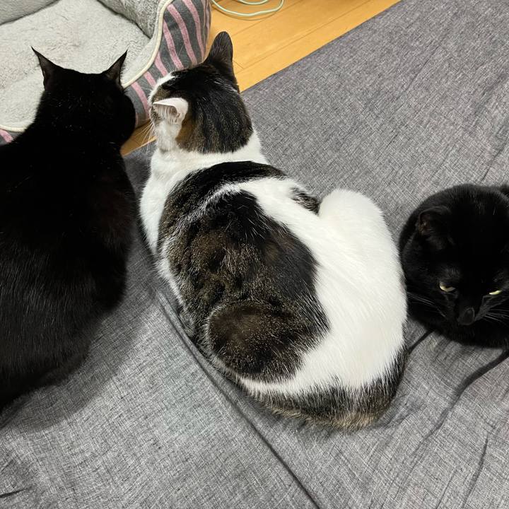 85af33ef 871a 41d8 8605 3bd17abf5211 1737324481718