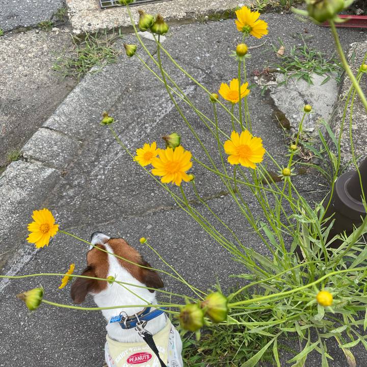 85afed1f 96c4 4447 834f c230a091e48a 1629108297496