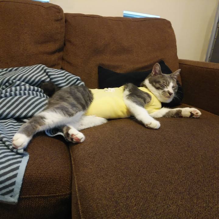 85b0264a cd61 4f8e a271 c680eb0c514f 1584169294075