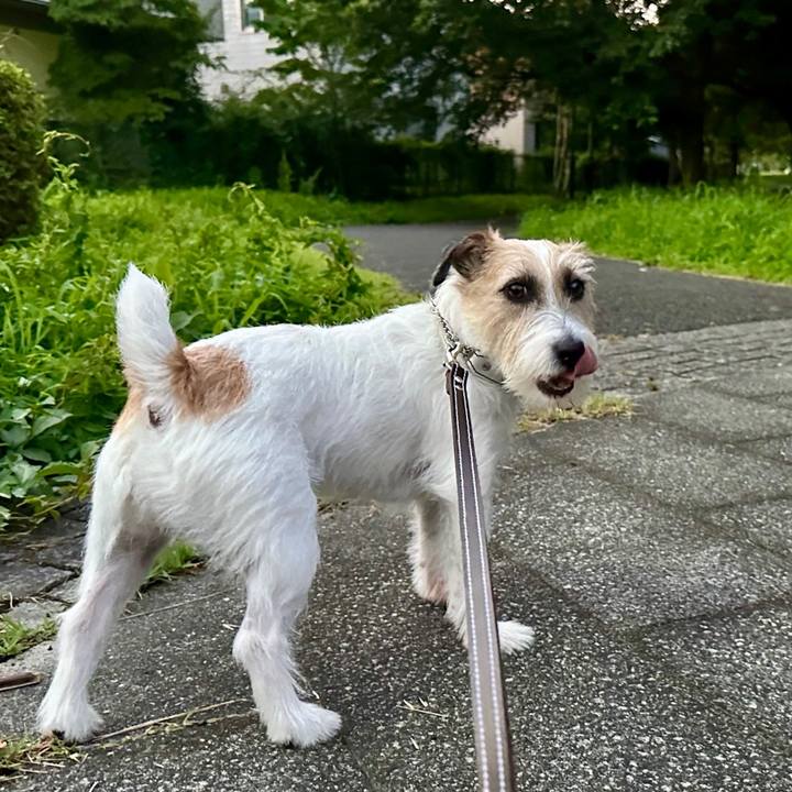 85b02e15 fdbb 41db 8078 4a1e60867968 1721633460527